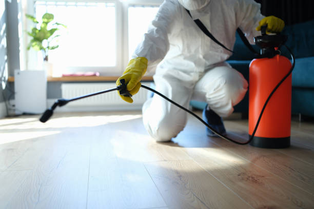 Reliable Sewage Cleanup contractor in Cocoa, FL by Trauma Clean Pros
